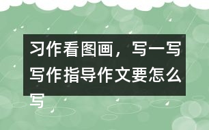 習作：看圖畫，寫一寫寫作指導(dǎo)作文要怎么寫