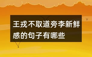 王戎不取道旁李新鮮感的句子有哪些