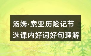 湯姆·索亞歷險記節(jié)選課內(nèi)好詞好句理解