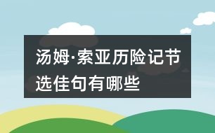 湯姆·索亞歷險記節(jié)選佳句有哪些