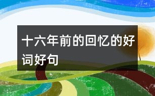 十六年前的回憶的好詞好句