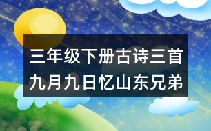 三年級下冊古詩三首九月九日憶山東兄弟生字組詞字詞解釋