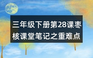 三年級(jí)下冊(cè)第28課棗核課堂筆記之重難點(diǎn)歸納