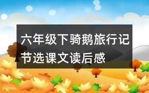 六年級(jí)下騎鵝旅行記節(jié)選課文讀后感