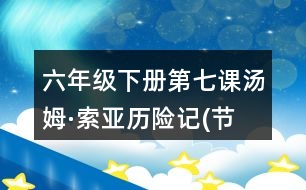 六年級下冊第七課湯姆·索亞歷險記(節(jié)選)筆記知識點