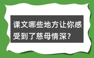 課文哪些地方讓你感受到了慈母情深？