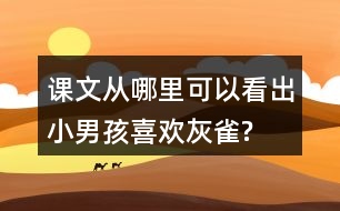 課文從哪里可以看出小男孩喜歡灰雀?