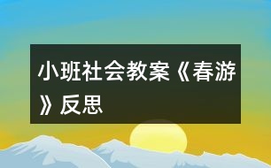 小班社會教案《春游》反思