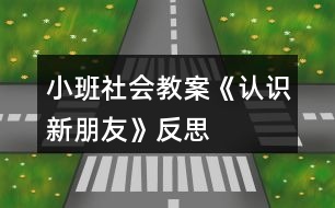 小班社會教案《認識新朋友》反思