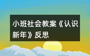 小班社會教案《認識新年》反思