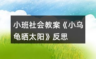 小班社會(huì)教案《小烏龜曬太陽》反思