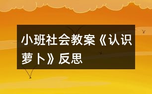 小班社會教案《認(rèn)識蘿卜》反思