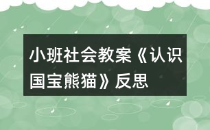 小班社會(huì)教案《認(rèn)識(shí)國(guó)寶熊貓》反思