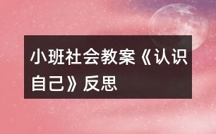 小班社會教案《認識自己》反思