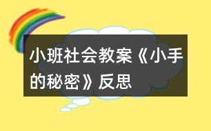 小班社會(huì)教案《小手的秘密》反思