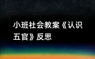 小班社會(huì)教案《認(rèn)識(shí)五官》反思