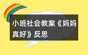 小班社會教案《媽媽真好》反思