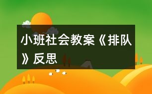 小班社會教案《排隊》反思