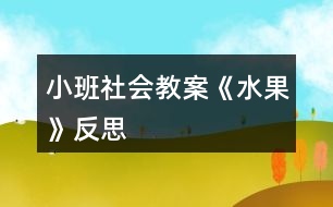 小班社會(huì)教案《水果》反思