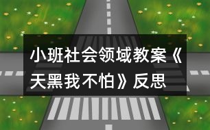 小班社會領(lǐng)域教案《天黑我不怕》反思