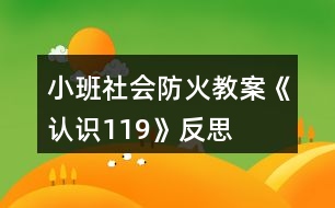 小班社會防火教案《認(rèn)識119》反思