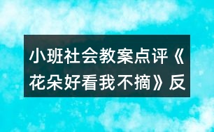 小班社會教案點(diǎn)評《花朵好看我不摘》反思