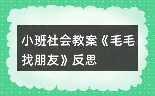 小班社會教案《毛毛找朋友》反思