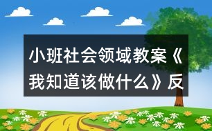 小班社會領(lǐng)域教案《我知道該做什么》反思