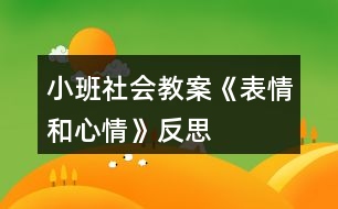 小班社會教案《表情和心情》反思