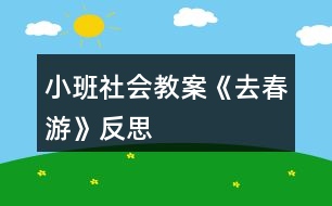 小班社會(huì)教案《去春游》反思