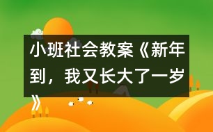 小班社會(huì)教案《新年到，我又長(zhǎng)大了一歲》反思