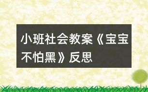 小班社會(huì)教案《寶寶不怕黑》反思