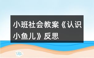 小班社會(huì)教案《認(rèn)識小魚兒》反思