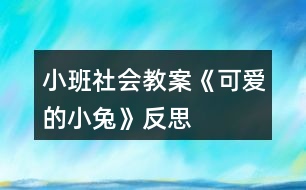 小班社會教案《可愛的小兔》反思