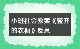 小班社會教案《整齊的衣櫥》反思