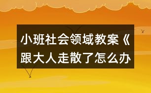 小班社會(huì)領(lǐng)域教案《跟大人走散了怎么辦》反思