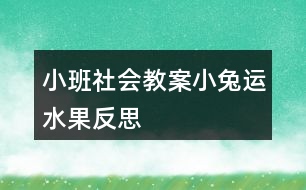 小班社會(huì)教案小兔運(yùn)水果反思