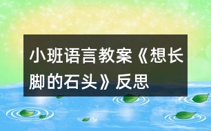 小班語言教案《想長腳的石頭》反思