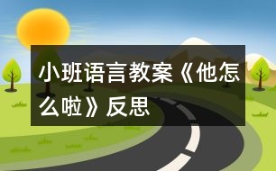 小班語(yǔ)言教案《他怎么啦》反思