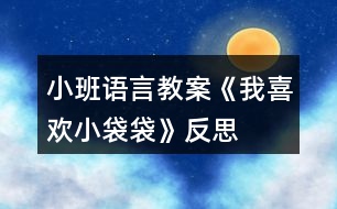 小班語言教案《我喜歡小袋袋》反思