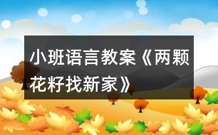 小班語(yǔ)言教案《兩顆花籽找新家》