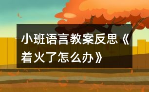 小班語(yǔ)言教案反思《著火了怎么辦》