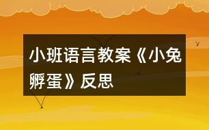 小班語言教案《小兔孵蛋》反思