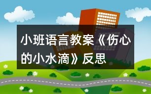 小班語言教案《傷心的小水滴》反思