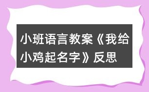 小班語言教案《我給小雞起名字》反思