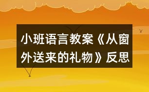 小班語言教案《從窗外送來的禮物》反思