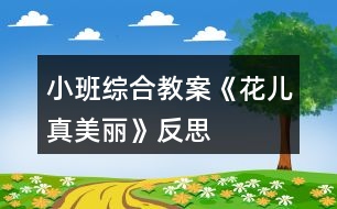 小班綜合教案《花兒真美麗》反思