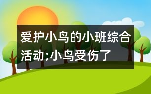 愛護小鳥的小班綜合活動;小鳥受傷了