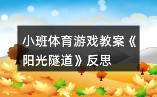 小班體育游戲教案《陽(yáng)光隧道》反思