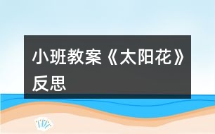 小班教案《太陽花》反思